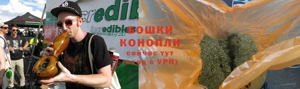стаф Баксан