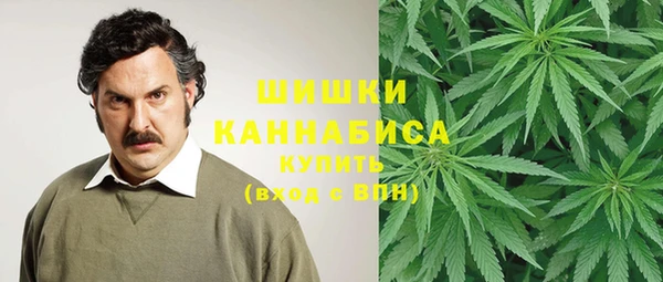 стаф Баксан